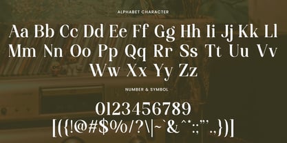 Funky Vintage Font Poster 11