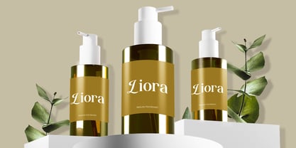 Funky Vintage Font Poster 6