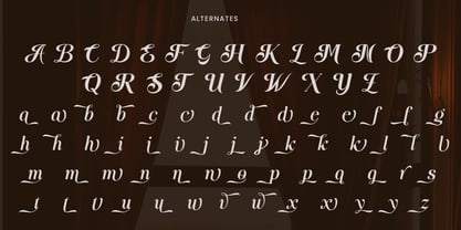 Funky Vintage Font Poster 12