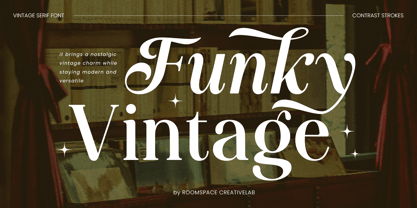 Funky Vintage Font Poster 1