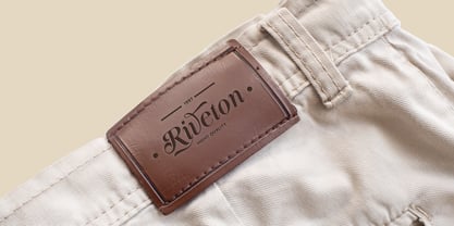 Funky Vintage Font Poster 10