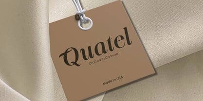 Funky Vintage Font Poster 5