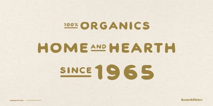 Japanese Kitchen Font Poster 11