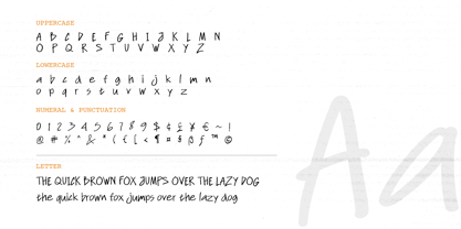 Culture Shock Font Poster 9