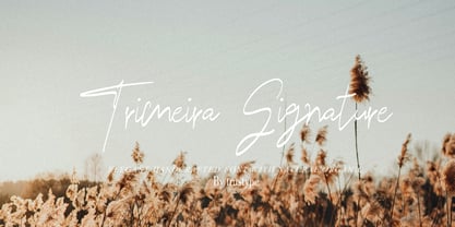 Trimeira Signature Font Poster 1