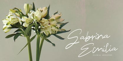 Trimeira Signature Font Poster 6