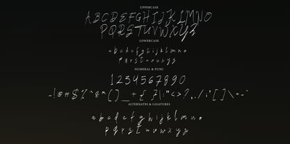 Trimeira Signature Font Poster 2