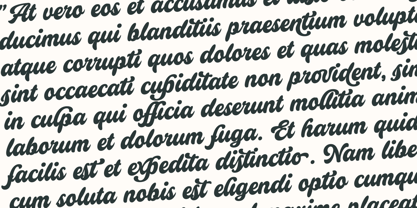 Relastic Script Font Poster 8