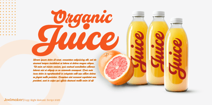 Relastic Script Font Poster 15