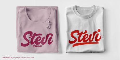 Relastic Script Font Poster 9