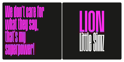 Magnete Sans Font Poster 13