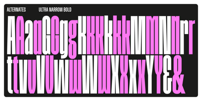 Magnete Sans Font Poster 6