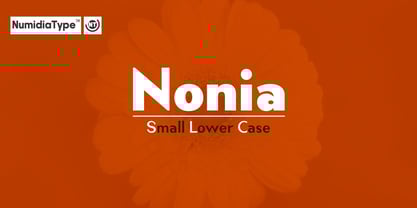 Nonia Small Font Poster 1