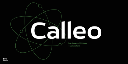 Calleo Font Poster 2