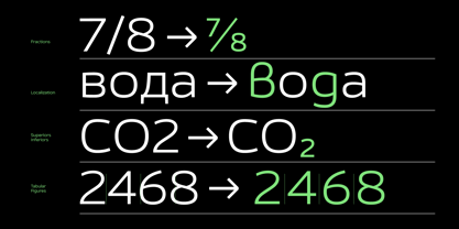 Calleo Font Poster 8