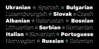 Calleo Font Poster 3