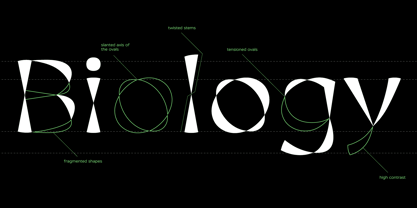 Calleo Font Poster 4