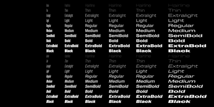 Pragmatica Next Font Poster 6