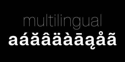 Pragmatica Next Font Poster 12