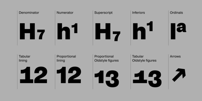 Pragmatica Next Font Poster 11