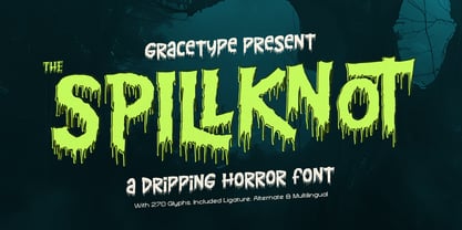Spillknot Font Poster 1