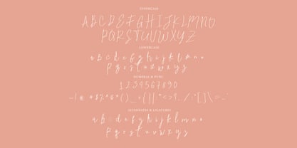 Florastina Signature Font Poster 9