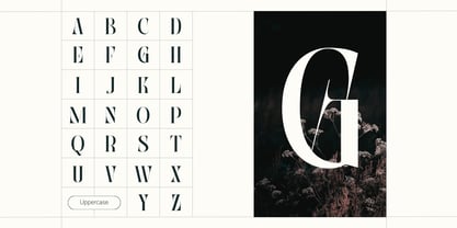 Abogia Font Poster 2