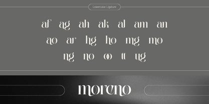 Abogia Font Poster 6