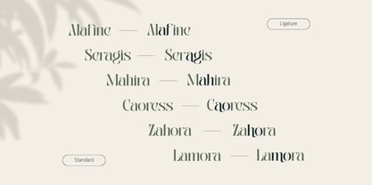 Abogia Font Poster 7