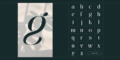 Abogia Font Poster 3