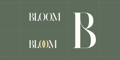 Abogia Font Poster 9