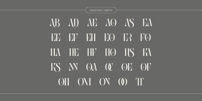 Abogia Font Poster 11