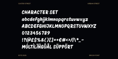 Caster Street Font Poster 4