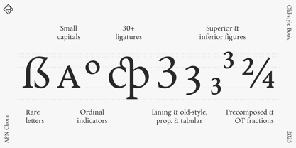 APN Chora Font Poster 14