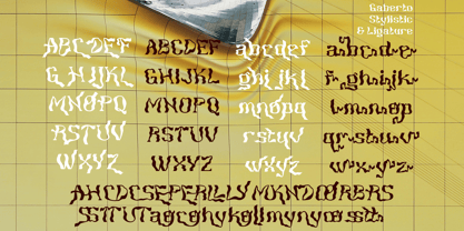Gaberto Font Poster 8