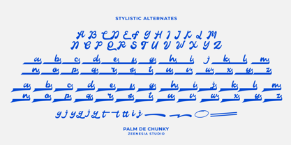 Palm De Chunky Font Poster 15