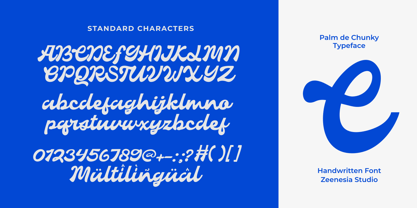 Palm De Chunky Font Poster 14