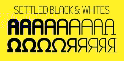 Settled Font Poster 14