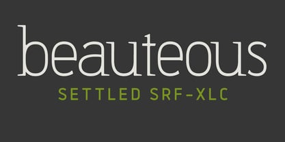 Settled Font Poster 3