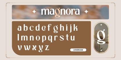 Foga Font Poster 7