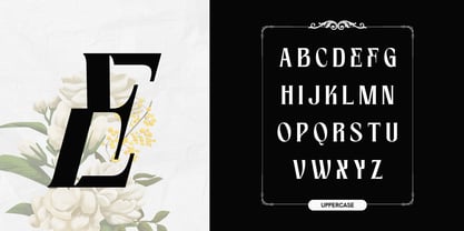 Foga Font Poster 2