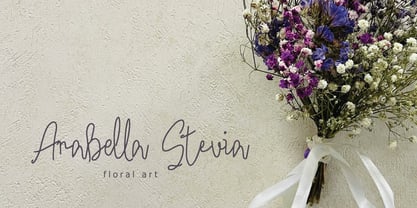 Athenia Signature Font Poster 2