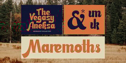 Austin Shocks Font Poster 2