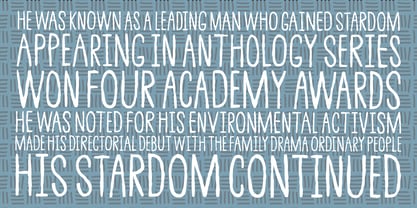 Irritating Noises Font Poster 6