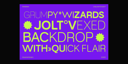 Muring 03 Font Poster 5