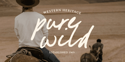 Busted Horizon Font Poster 2