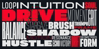 Sygnos Font Poster 14