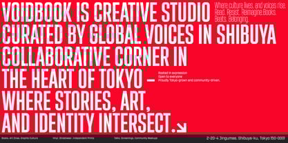 Sygnos Font Poster 13