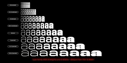 Sygnos Font Poster 7