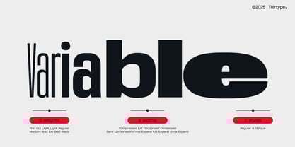 Sygnos Font Poster 5